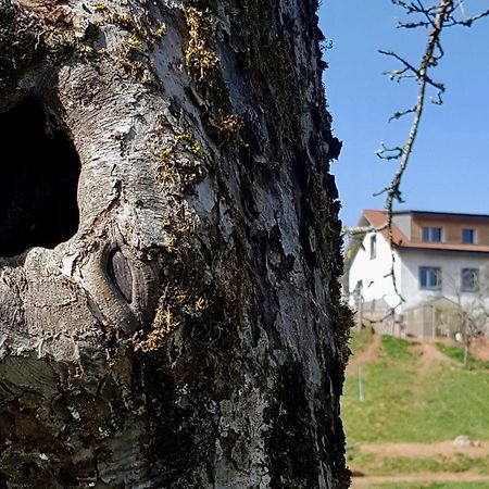 Coeur Vert Oekologisch Mit Viel Ambiente Fuer Seelen-Wellness Ronchamp Pokoj fotografie