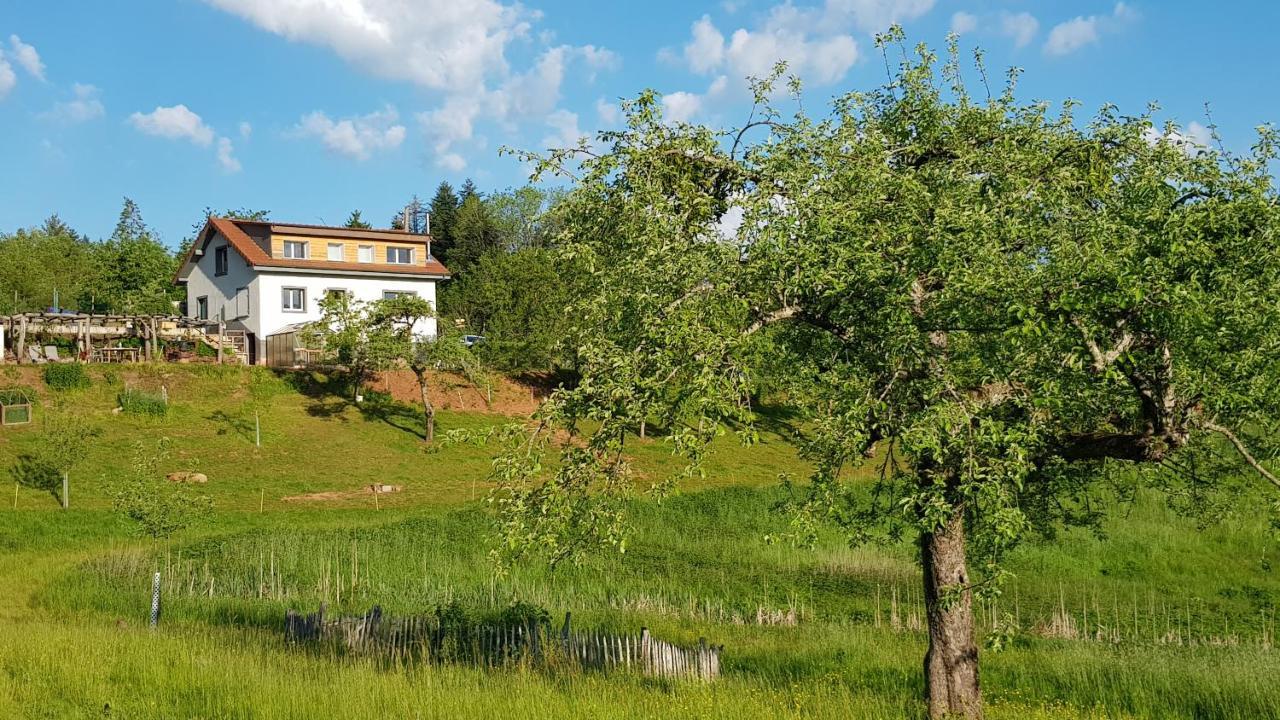 Coeur Vert Oekologisch Mit Viel Ambiente Fuer Seelen-Wellness Ronchamp Exteriér fotografie