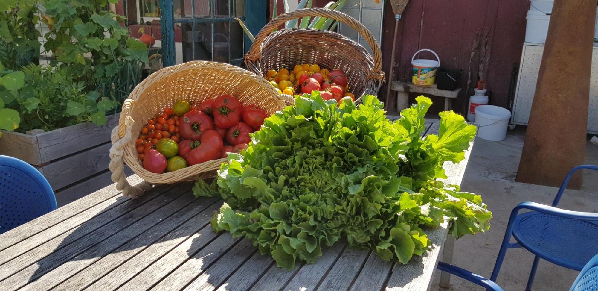 Coeur Vert Oekologisch Mit Viel Ambiente Fuer Seelen-Wellness Ronchamp Pokoj fotografie